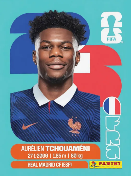 Figurinha FRA9 — França